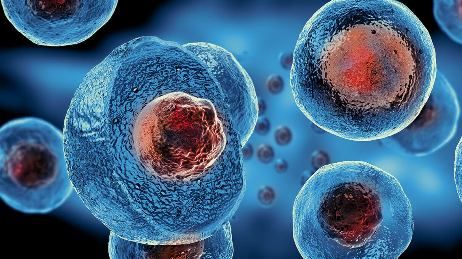 Stem cell therapy treatment for regenerative healing and rejuvenation